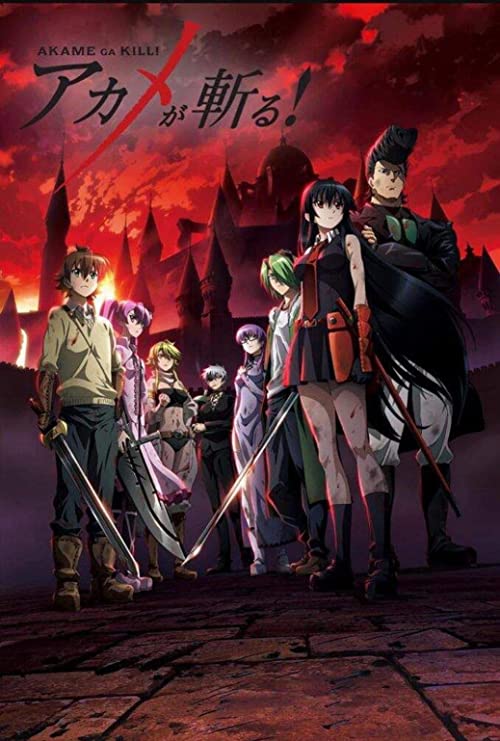 მკვლელი აკამე / Akame ga Kill!