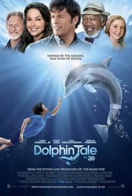 Dolphin Tale / დელფინის ამბავი (ქართულად, qartulad)