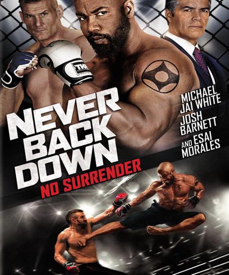 არასდროს დანებდე 3 / Never Back Down: No Surrender (ქართულად, qartulad)