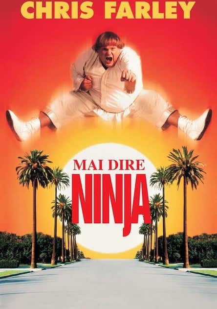 Beverly Hills Ninja / ნინძა ბევერლი ჰილზიდან (ქართულად, qartulad)