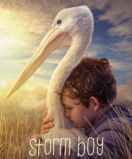 ბიჭი ქარიშხალი / Storm Boy (ქართულად, qartulad)