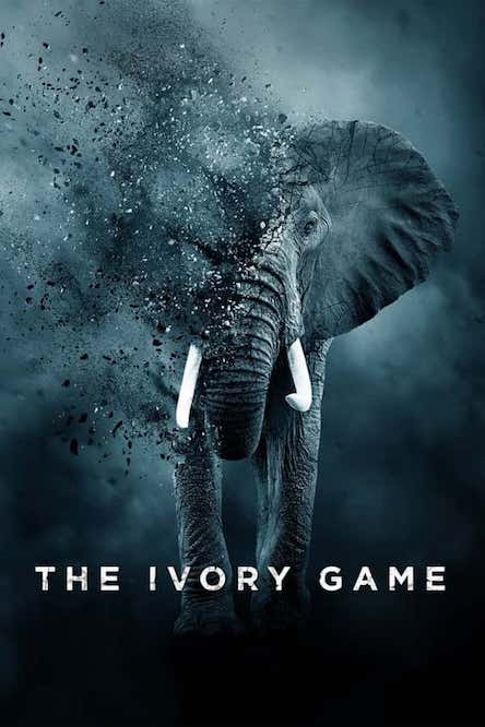 The Ivory Game / ნადირობა სპილოს ძვალზე (ქართულად, qartulad)