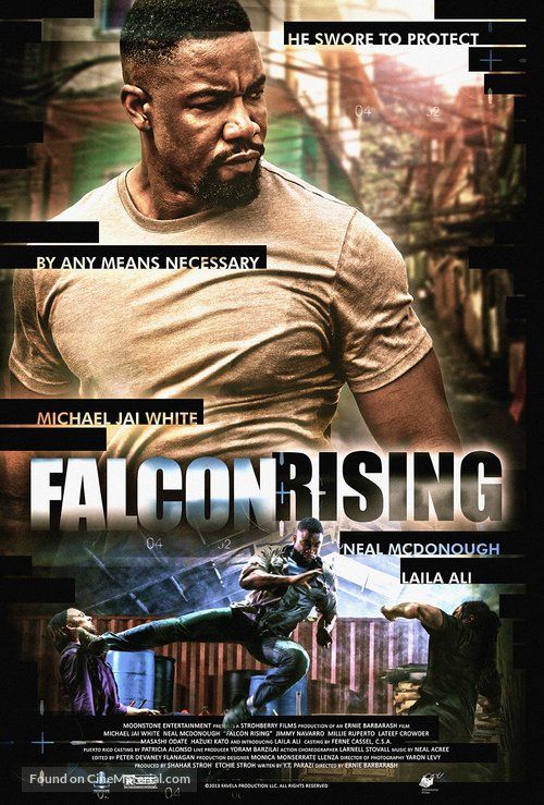 შავარდენის აღზევება (ქართულად) / Falcon Rising (ქართულად, qartulad)