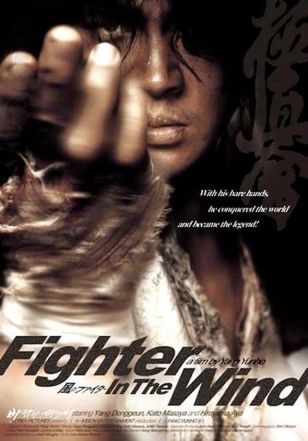 ქარის მებრძოლი / Fighter in the Wind (ქართულად, qartulad)